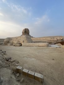 article image - IMG_6622